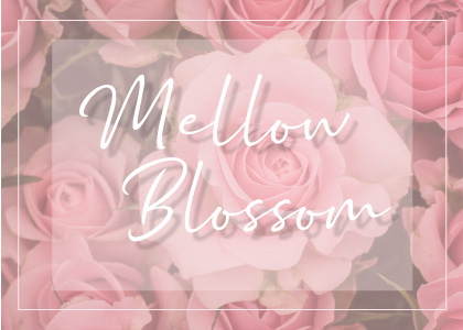 ブログのヘッダーをつくってみよう Mellow Blossom Mellow Blossom