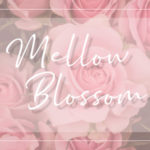 ブログのヘッダーをつくってみよう｜＊Mellow Blossom＊