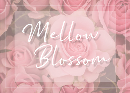 ブログのヘッダーをつくってみよう｜＊Mellow Blossom＊